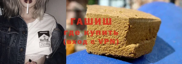 сатива Губаха