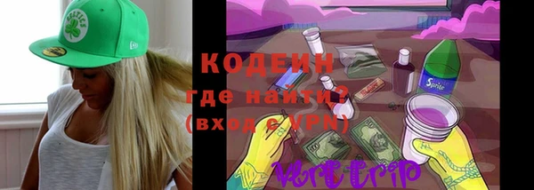 сатива Губаха