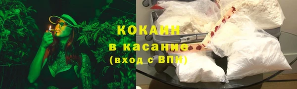 мдпв Грязовец