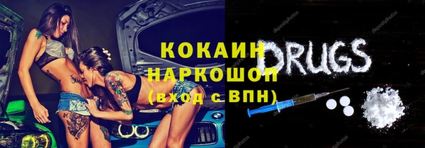 индика Инта