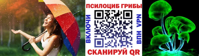 Галлюциногенные грибы Psilocybe  купить закладку  Нолинск 